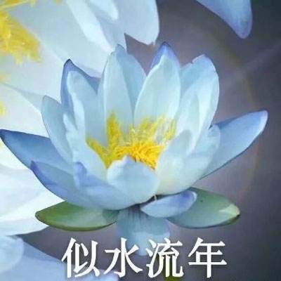 光宇手游道无边官方下载